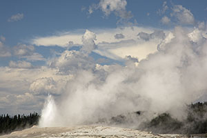 Yellowstone-land